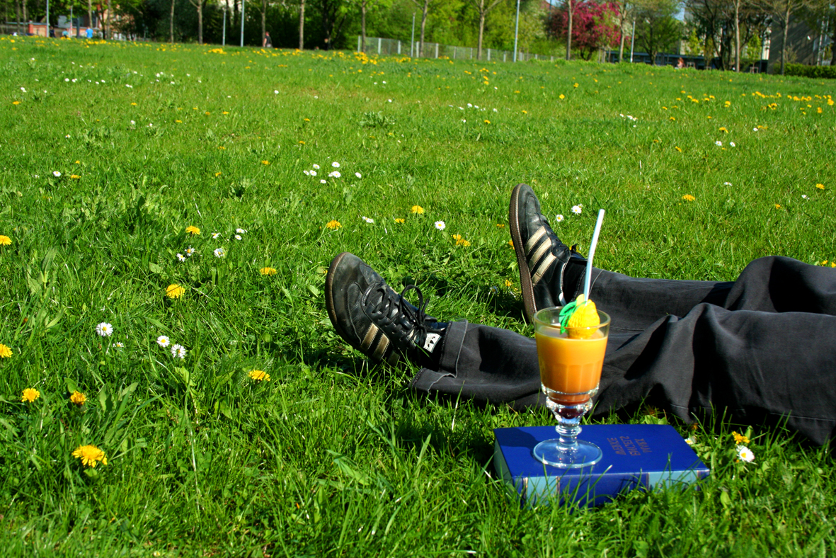 Sommer, Sonne, Sozialismus